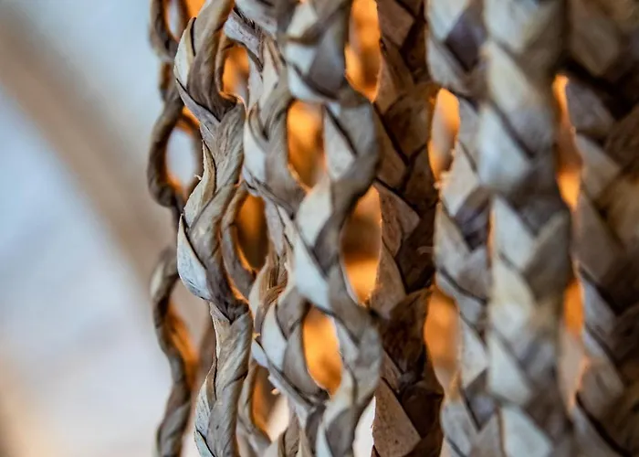 Nektaria Villa Alikiász